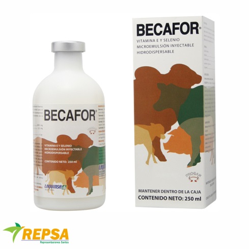 Becafor