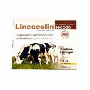 Lincocelin secado