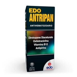 Edo Antripan