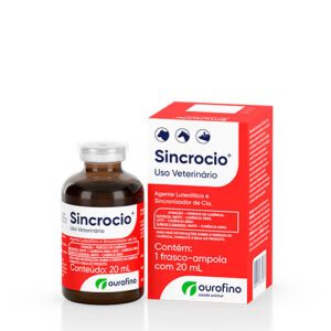 Sincrocio