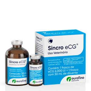 Sincro eCG