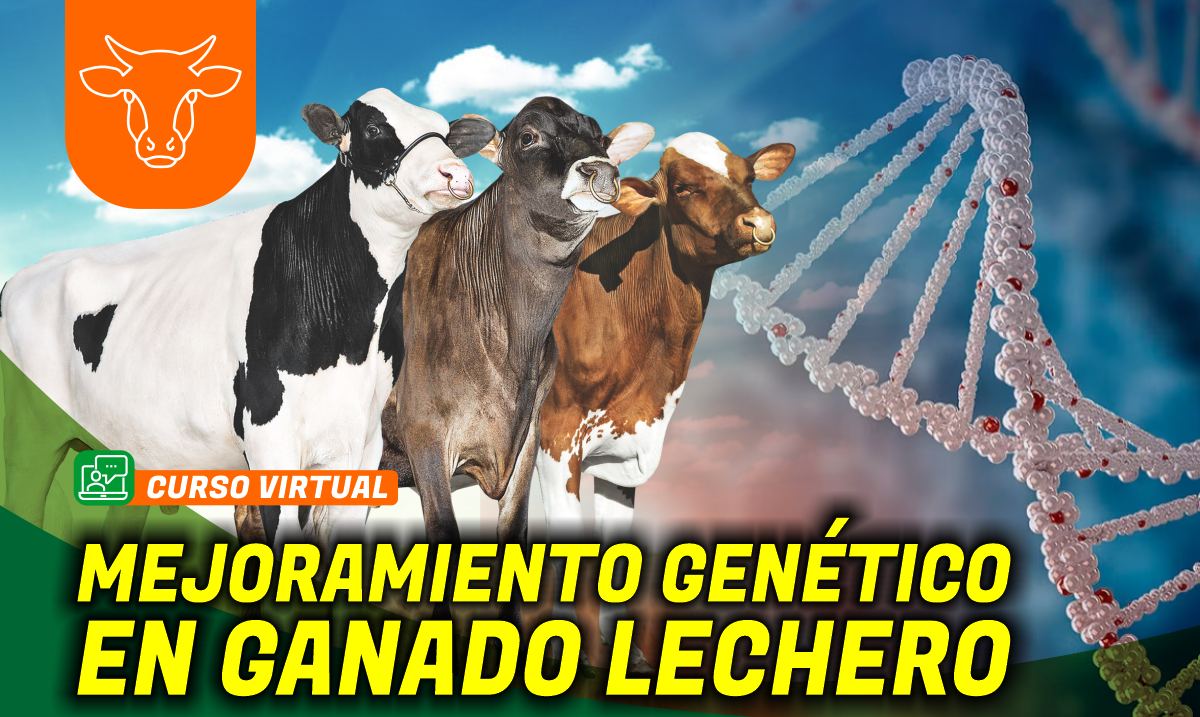 Curso-Mejoramiento-Genetico-en-Vacas-Lecheras-2023